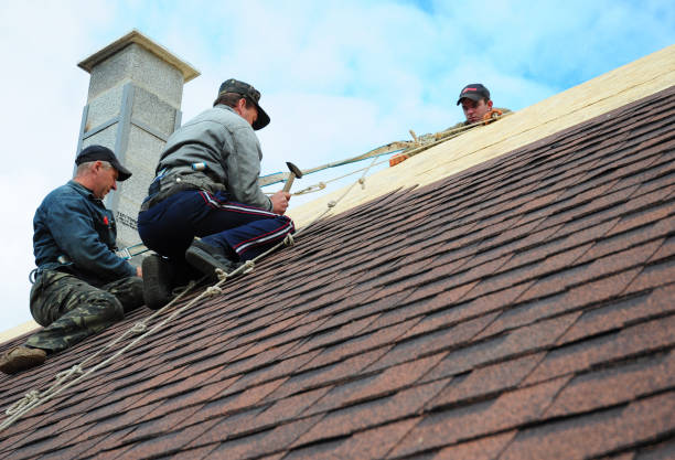 Best Roof Waterproofing Services  in Salida, CO